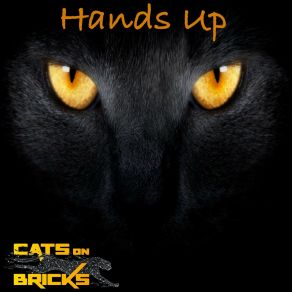 Download track In My Brain (Bigroom Remix) Cats On BricksChristelle Constantin