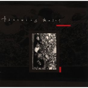 Download track Finished Throwing Muses