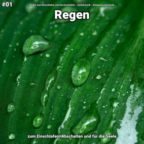 Download track Regen, Pt. 89 Entspannungsmusik