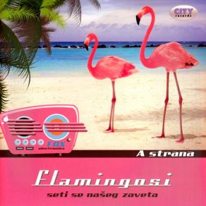 Download track Danijela Flamingosi