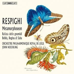 Download track 7. Metamorphoseon - Modus VI. Vivo Ottorino Respighi