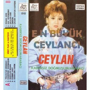 Download track Deliler Gibi Ceylan