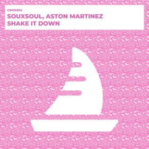 Download track Shake It Down (Radio Edit) Aston Martinez