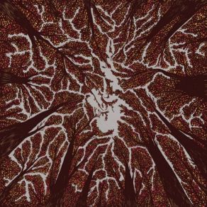 Download track Crown Shyness Trash Boat