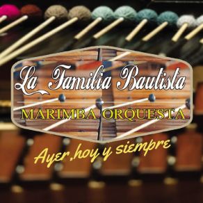 Download track La Marimba Cibernética La Familia Bautista