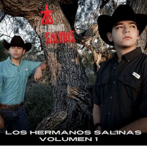 Download track El Rayo De Sinaloa Los Hermanos Salinas