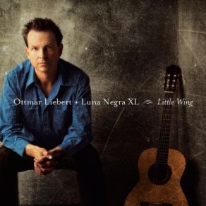 Download track Interlude # 1 Longing Ottmar Liebert, Luna Negra