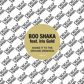 Download track Shake It To The Ground (Standard Issue Remix) Boo Shaka