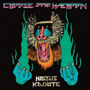 Download track Shaolin Monk Motherfunk Hiatus Kaiyote