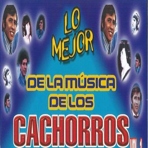 Download track Fe Perdida Los Cachorros De Juan Villareal