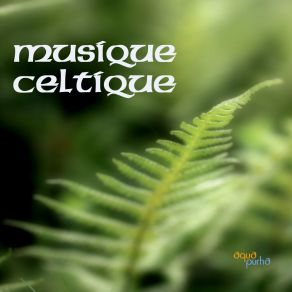 Download track Dark Mollie Fo The Glen Musique Celtique Ensemble