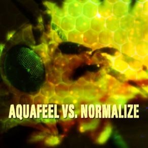 Download track Wake Up (Remix) Normalize, AquafeelSuntree