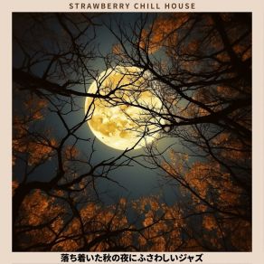 Download track Moonlit Jazz Sleep Serenade Strawberry Chill House