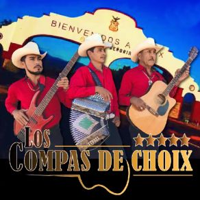 Download track El Cerro Del Viajero (En Vivo) Los Compas De Choix