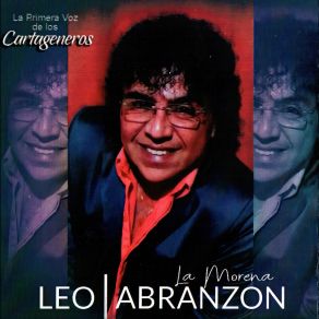 Download track Mi Corazón No Es De Piedra Ni Madera Leonardo Abranzon