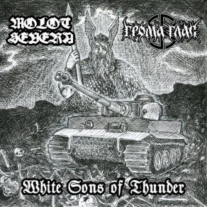 Download track Age Of Barbarism (Der Stürmer Cover) Molot Severa