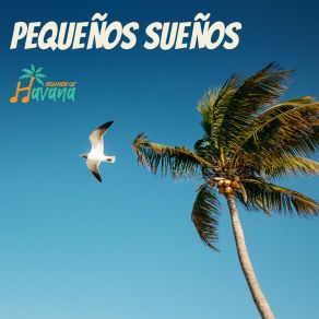 Download track To Be Or No Te VI Sounds Of Havana