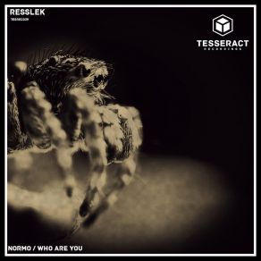 Download track Who Are You Resslek