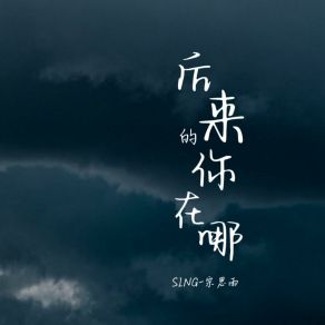 Download track 后来的你在哪 (1.2x氛围版) SING-宗思雨Opalnosa