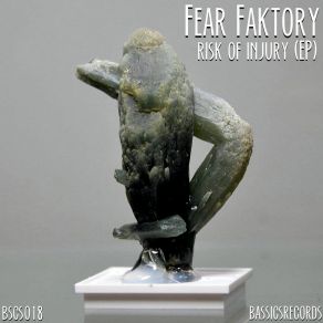 Download track Risk Of Injury (GrooveANDyes Remix) Fear Faktory