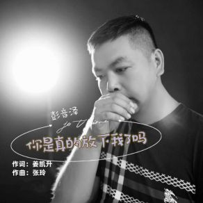 Download track 你是真的放下我了吗 (伴奏) 彭音泽