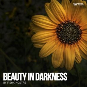 Download track Beauty In Darkness Fishy, Nostre