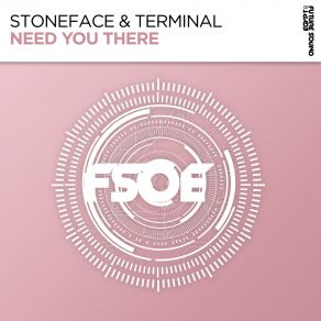 Download track Need You There (Extended Club Mix) Stoneface & Terminal