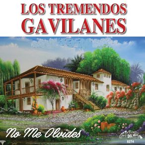 Download track De Ser Tu Dueño Los Tremendos Gavilanes