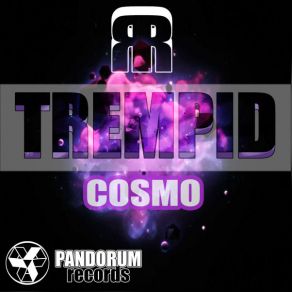 Download track To Meet A New Challenge (Original Mix) Trempid