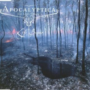 Download track Life Burns! (Instrumental) Apocalyptica, Lauri Ylцnen