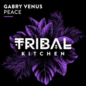 Download track Peace (Extended Mix) Gabry Venus