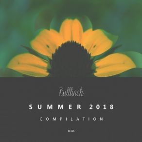 Download track Summa Summarum PIUR