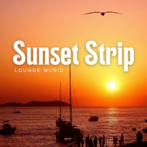 Download track Chill House Music Music Lounge