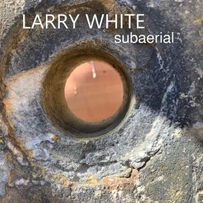 Download track Funaria Larry White