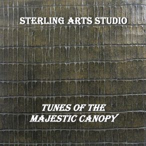 Download track Tranquil Tropical Terrace Sterling Arts Studio