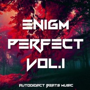 Download track Youth Enigm ArtImperfect