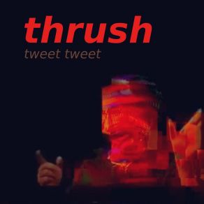 Download track Catskills Thrush