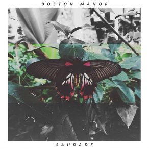 Download track Trapped Nerve Boston Manor