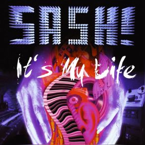 Download track It's My Life (Natural Born Grooves Remix) SASH!