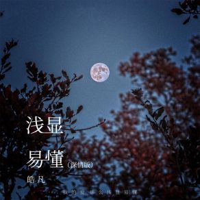 Download track 浅显易懂 (深情版伴奏) 皓凡