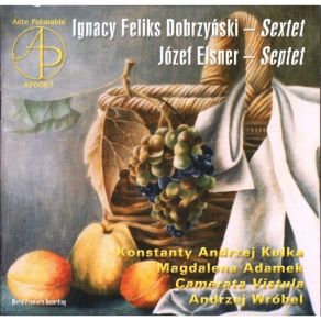 Download track 4. Dobrzynski - String Sextet - IV. Finale. Allegro Konstanty Andrzej Kulka, Magdalena Adamek, Camerata Vistula