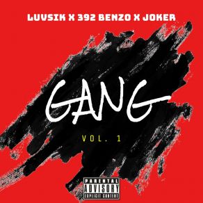 Download track MOVE LuvSikThe Joker, 392 BENZO