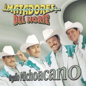 Download track Soy Bandolero Los Medranos Del Norte