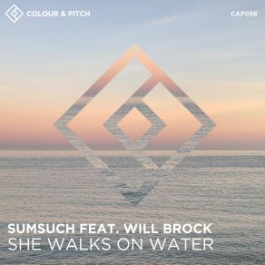 Download track She Walks On Water Will Brock