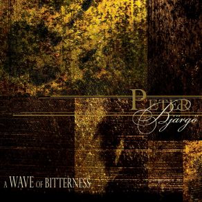 Download track A Wave Of Bitterness Peter Bjärgö