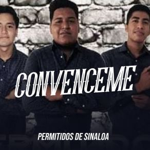 Download track Blanca Piel Permitidos De Sinaloa