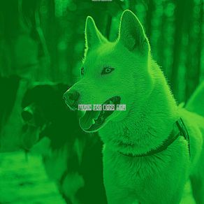 Download track High-Class Lonely Dogs Music For Dogs Bgm