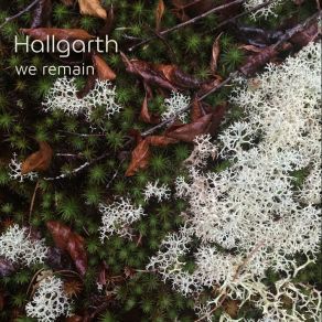 Download track Desert Dream Hallgarth