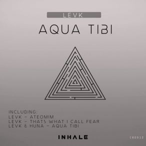 Download track Aqua Tibi (Original Mix) LevKHuna