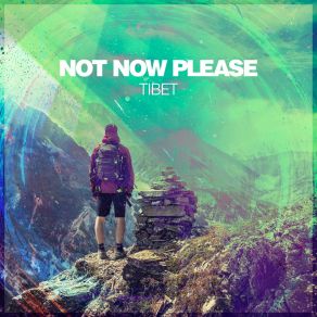 Download track Tibet Not Now Please